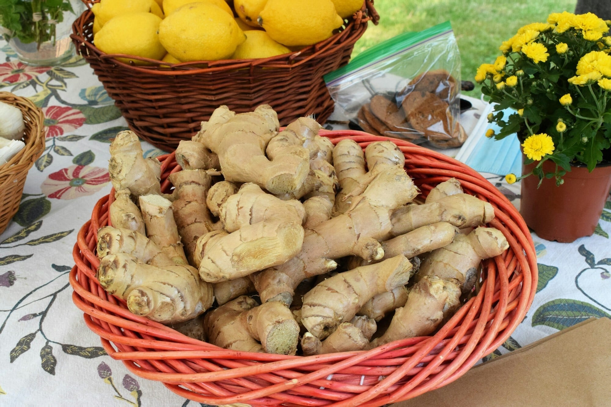 An orange basket of Culinary ginger infront of a basket full of lemons and a pot of yellow flowers